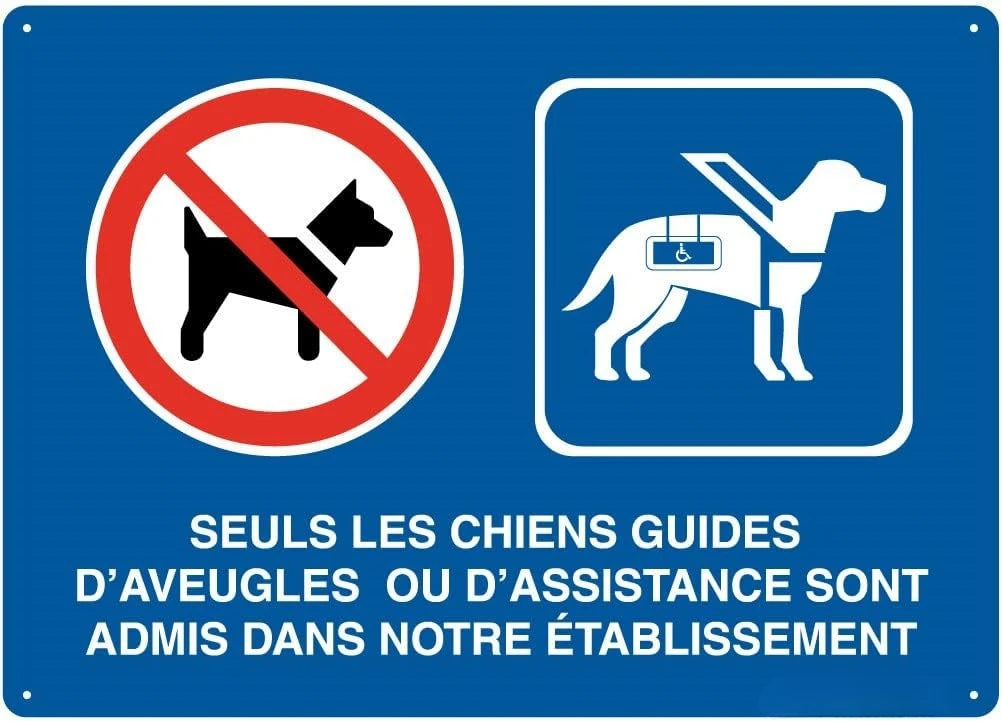 Panneau de Signalisation Sécurité en Aluminium – Alarme Vidéo, Accès Interdit, Propriété Privée, Attention Véhicules et Chien de Garde
