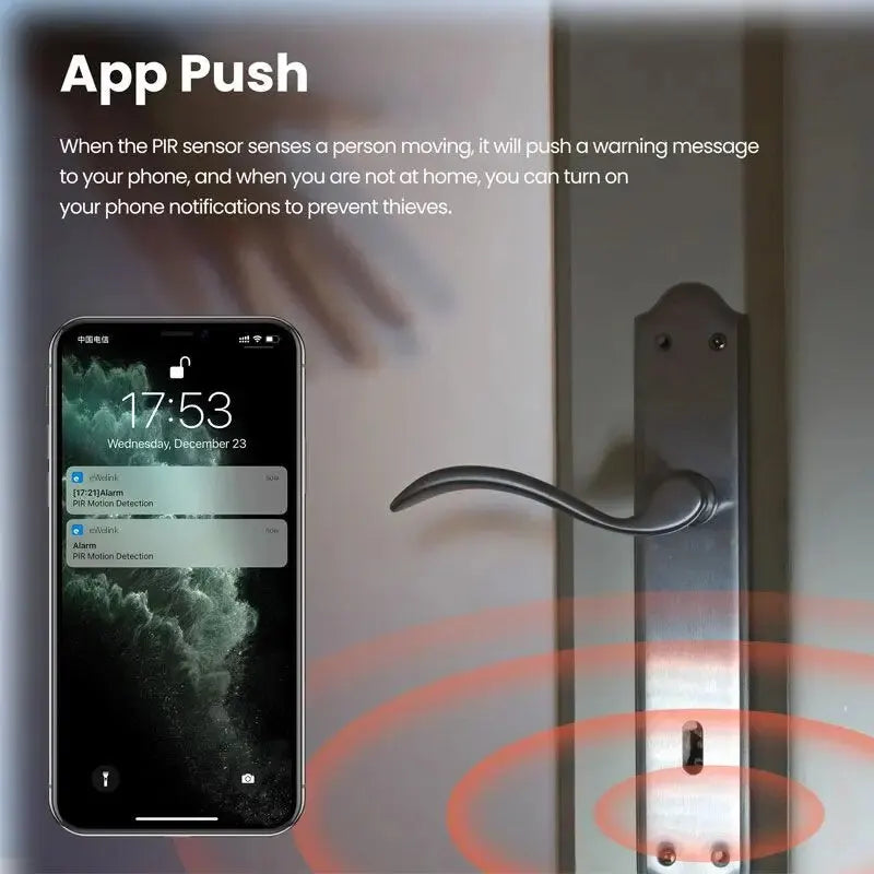 Mini detector de movimiento Zigbee PIR - Captador infrarrojo compacto Compatible con Alexa, Google Home y Zigbee2MQTT (Passera requerida)