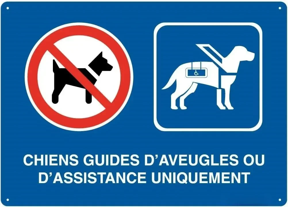 Panneau Aluminium Sécurité “Alarme Vidéo – Propriété Privée, Défense d’Entrer” – Plaque Rétro pour Parking et Zones Protégées