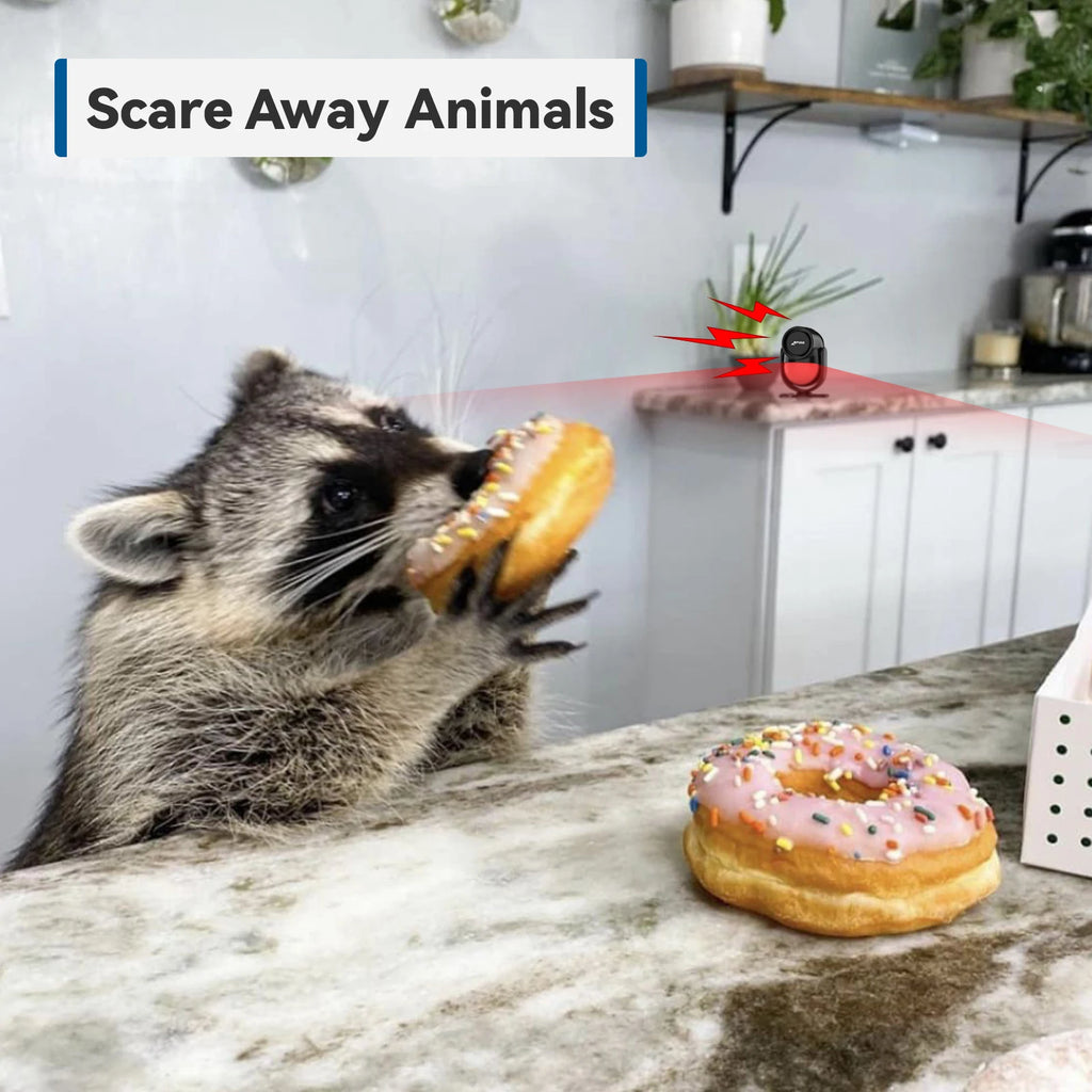 Detector de movimiento infrarrojo PIR CPVAN con Sirène 125 dB – Alarma de casa, garaje, apertura y autocaravana con teléfono y capturador de puerta 