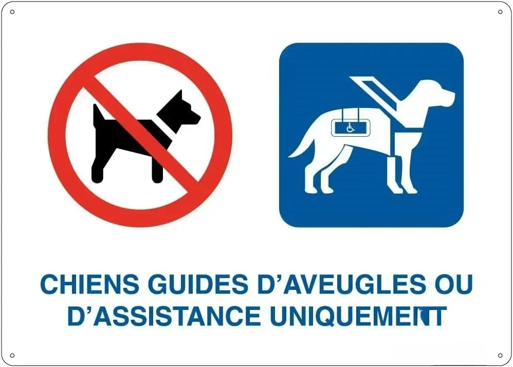 Panneau Rigide en Aluminium “Alarme Vidéo – Propriété Privée, Accès Interdit” – Signalisation de Sécurité Rétro pour Parking et Protection des Biens